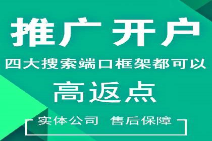 某电商企业如何通过百度竞价广告提升销售额